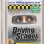 3D Driving School