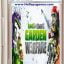 Plants vs Zombies Garden Warfare PC