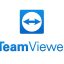 How to Install TeamViewer v13.0.6447