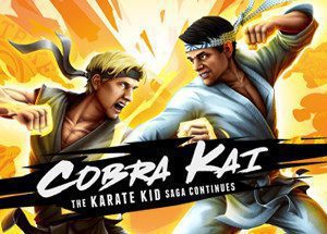 Cobra Kai The Karate Kid Saga Continues
