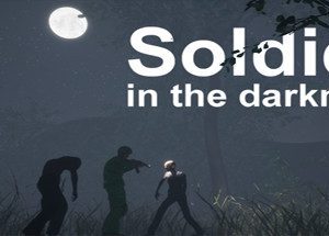 Soldier in the darkness