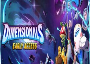 Dimensionals