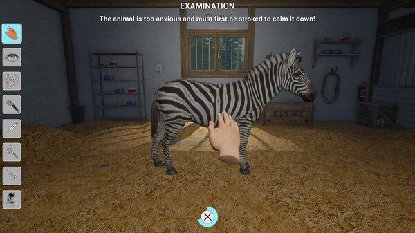 My Life Zoo Vet PC Game Screenshot 2