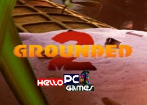 Grounded 2