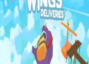 Little Wings Deliveries